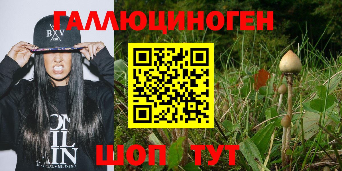 Псилоцибиновые грибы GOLDEN TEACHER Нефтеюганск